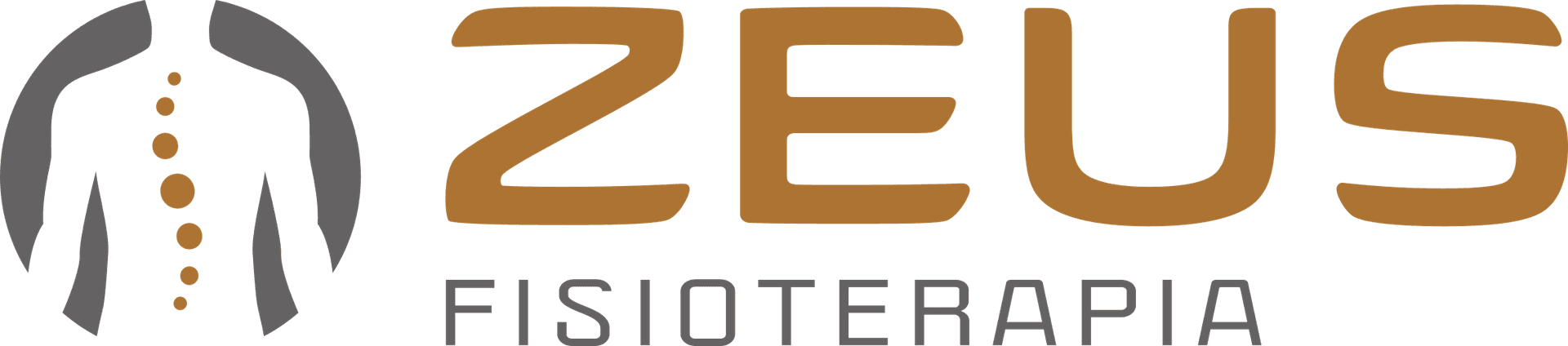 Zeus Fisioterapia